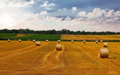 How to select land for home, industry or farming